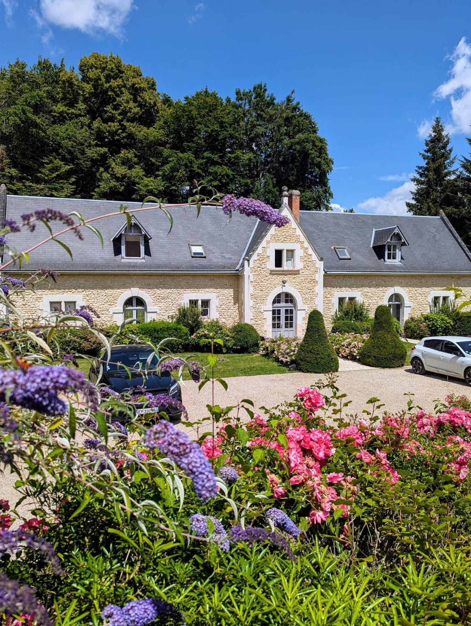 Château de la Menaudière Chissay-en-Touraine Exterior foto
