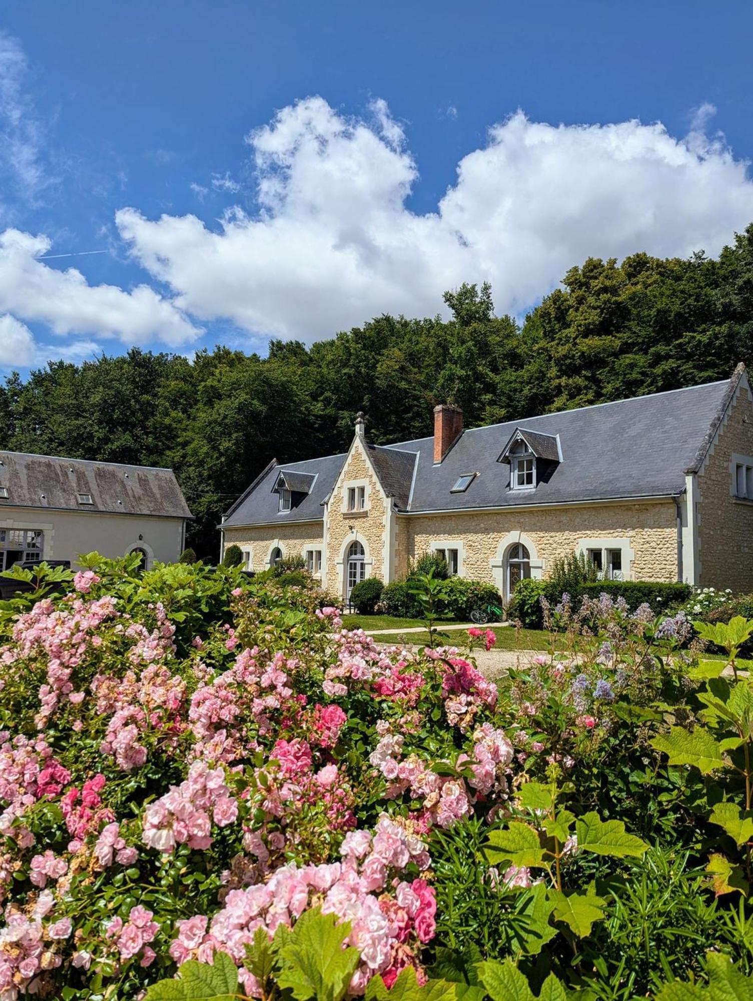 Château de la Menaudière Chissay-en-Touraine Exterior foto